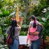 Smell The Blooming Corpse Flower For Yourself NOW At The NYBG!